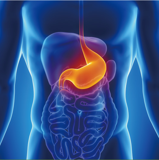 胶囊胃肠镜检查